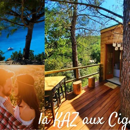 Cabane Dans Les Arbres "La Kaz Aux Cigales" Cuers Exteriér fotografie