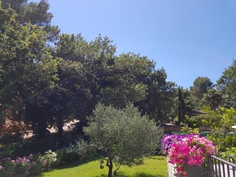 Cabane Dans Les Arbres "La Kaz Aux Cigales" Cuers Exteriér fotografie