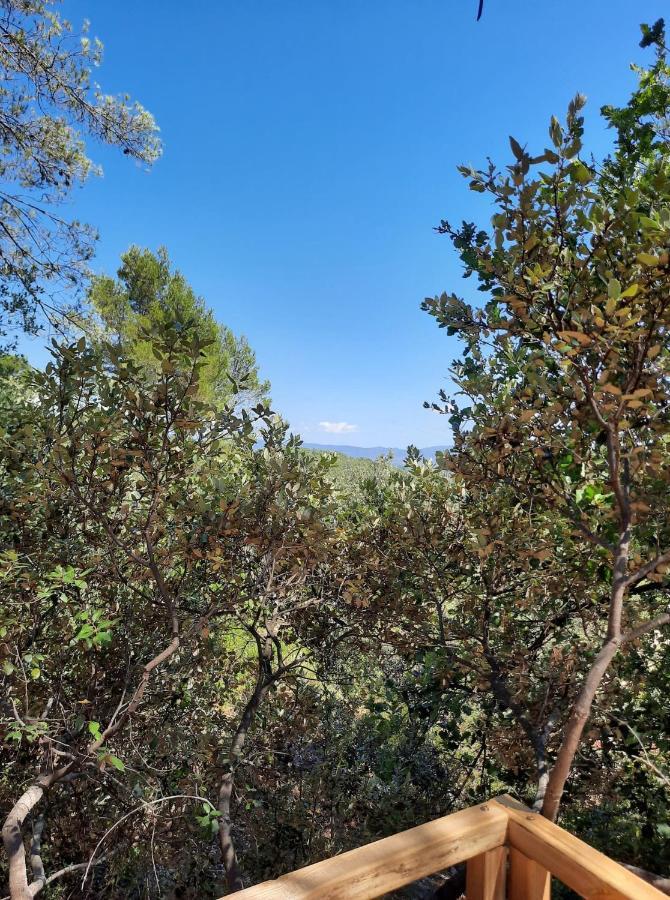 Cabane Dans Les Arbres "La Kaz Aux Cigales" Cuers Exteriér fotografie