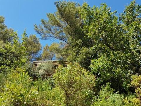 Cabane Dans Les Arbres "La Kaz Aux Cigales" Cuers Exteriér fotografie