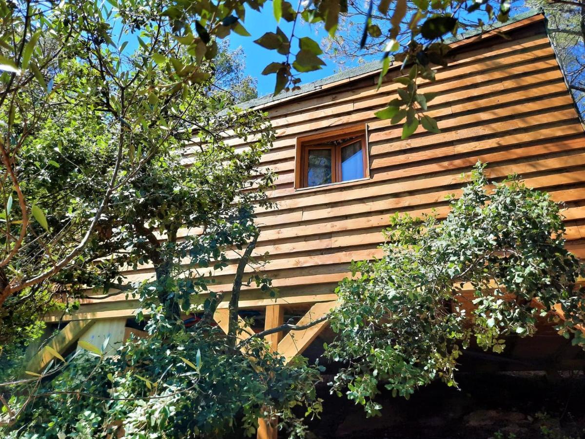 Cabane Dans Les Arbres "La Kaz Aux Cigales" Cuers Exteriér fotografie